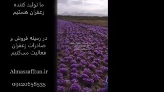 خرید بهترین  زعفران از کشاورز
