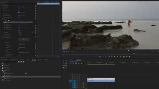 Remove Unwanted MOVING! object from your video in Premiere Pro