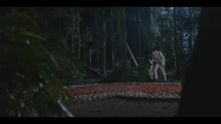 قسمت پنجم سریال چینی تلنگر Flipped 2019 با زیر نویس فارسی