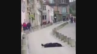 وضعیت همه ما بعد قرنطینه:/