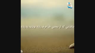 قدم زدن با خدا