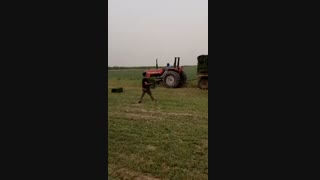 برداشت یونجه