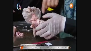 علوم تجربی پایه هفتم - تشریح قلب _ 17 اردیبهشت 99 آموزشگاه ایران من