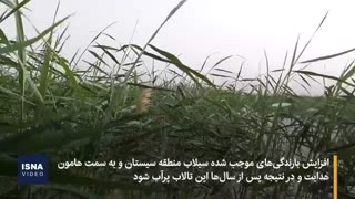 حیات، ارمغان حال خوب این روزهای هامون