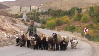 سدخاکی زیبای چهارمحال وبختیاری