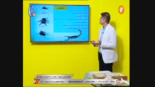علوم تجربی پایه 9 - جانوران بی مهره _ 18 اردیبهشت  99 آموزشگاه ایران من