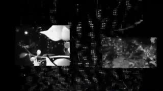 آهنگ ترنس از Cubicore & Shane 54 بنام Personal Jesus