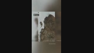 فقط حرکت کن