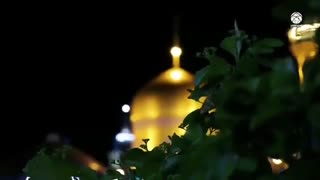 سال گذشته، چنین شبی در حرم مطهر رضوی...