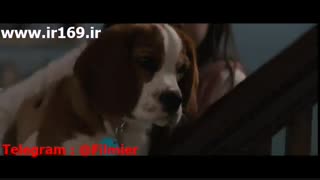 تیزر فیلم A Dog’s Journey 2019