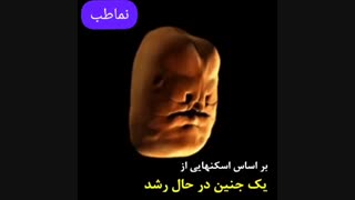 تکامل چهره در رحم مادر