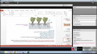 خانم بابائی- زیست دهم- فصل7 تغذیه گیاهی