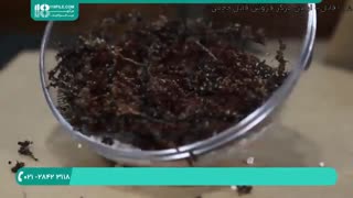 آموزش ساخت تراریوم خزه