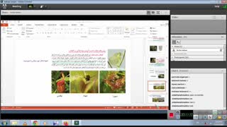 خانم بابائی- زیست دهم- جانداران موثر در تغذیه گیاهی