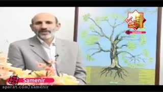 تناسب غذا با فصل