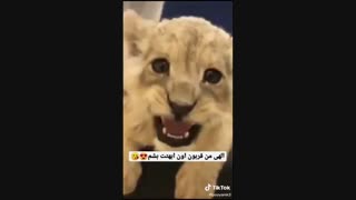چ ابهتی داره بچممم ^*-*^