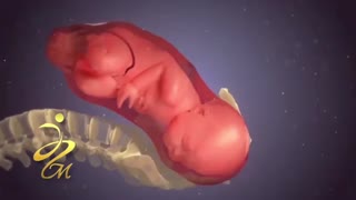 فیلم زایمان طبیعی با بی حسی اپیدورال