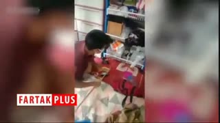 وحشت مرد روستایی با دیدن مار شاه کبرای ۴.۵ متری در اتاق خواب!