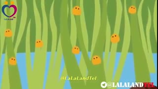 انگل فاسیولا