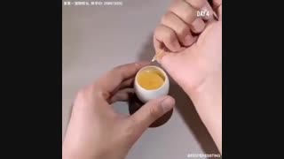 بلوغ جنین مرغ