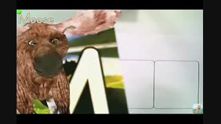 آموزش الفبای جادویی زیست محیطی ( فارسی و انگلیسی )