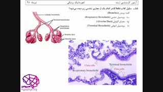بافت شناسی، آزمون ارشد علوم تشریحی 98