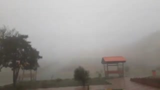 Asl :|| ببینم چی ب چیه