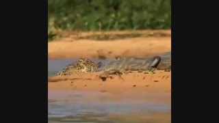 زدن دشمن با روش خودش‌، یعنی این