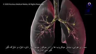 حمله ویروس کرونا به بدن
