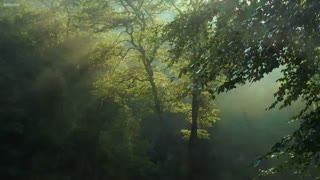 Morning Whisper - Ocarina