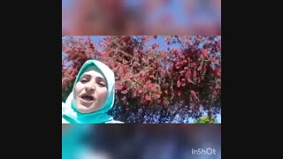 شما ترجیح میدین چای سالم بخورین یا چایی که رنگ و اسانس داره؟