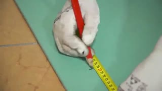 نحوه نصب فلاش تانک توکار - نصب استراکچر توالت فرنگی و وال هنگ