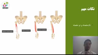 قسمت اول مدرسه عضله: بهره وری حداکثر از تمرینات جلوپا