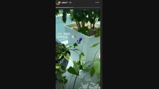 آپدیت های ُStory  امروز نفس بی نام(پارک شین هه) FULL HD کمیاب ویدیو کامل-مثل این پیام امروزم رو گرفته