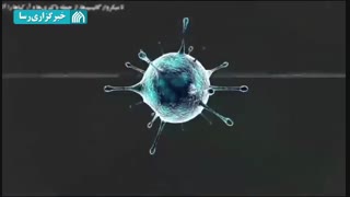 موشن گرافیک - ویروس اسرائیل