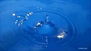 【Meditation/Torture Sound】Water Drop sound 2 hours