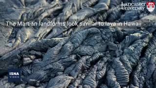 از آموزش سگ‌ها برای شناسایی کرونا تا دستاورد تازه در زمینه پیوند اعضا