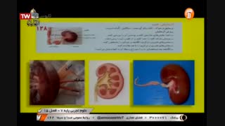 علوم تجربی پایه هفتم- فصل پانزدهم  - آموزشگاه ایران من