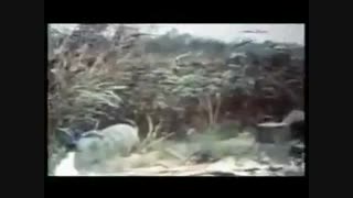 ممد نبودی ...