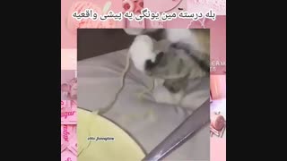 مین یونگی=پیشی^^♡♡
