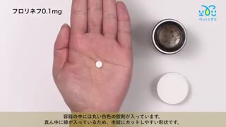 フロリネフ0.1mg通販　犬猫用アジソン病治療薬最安値と購入方法｜ペットの薬