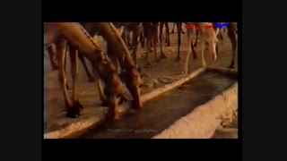 جاده ابریشم 25