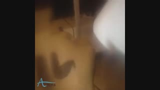 دستگاه لیزر کیوسوئیچ - آرنا گستر