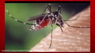 فیلم آموزشی فصل 15 کتاب علوم نهم  : با هم زیستن