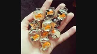 شرح حال امتحانمندان