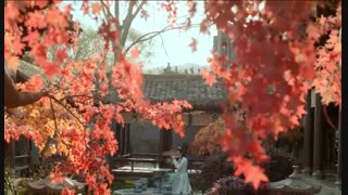 سریال چینی برادران جذاب Handsome siblings قسمت 21 با زیرنویس فارسی