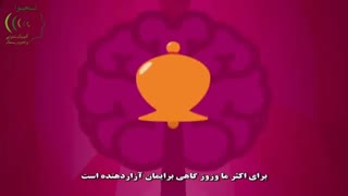 درمان وزوز گوش