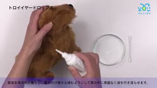 トロイイヤードロップス20ml通販　最安値と購入方法｜ペットの耳ダニ外耳炎治療薬