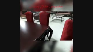 تولیدی مبل چستر