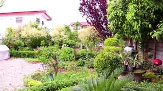 خرید ویلا دو طبقه در نشتارود مازندران